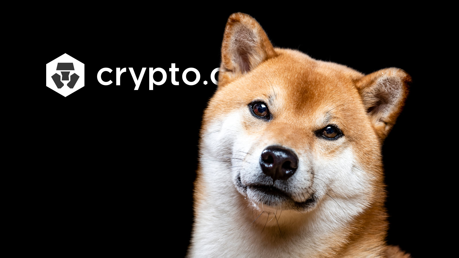 Funds Are SHIB? Crypto.com Reserves Are 20% Memecoin - Blockworks
