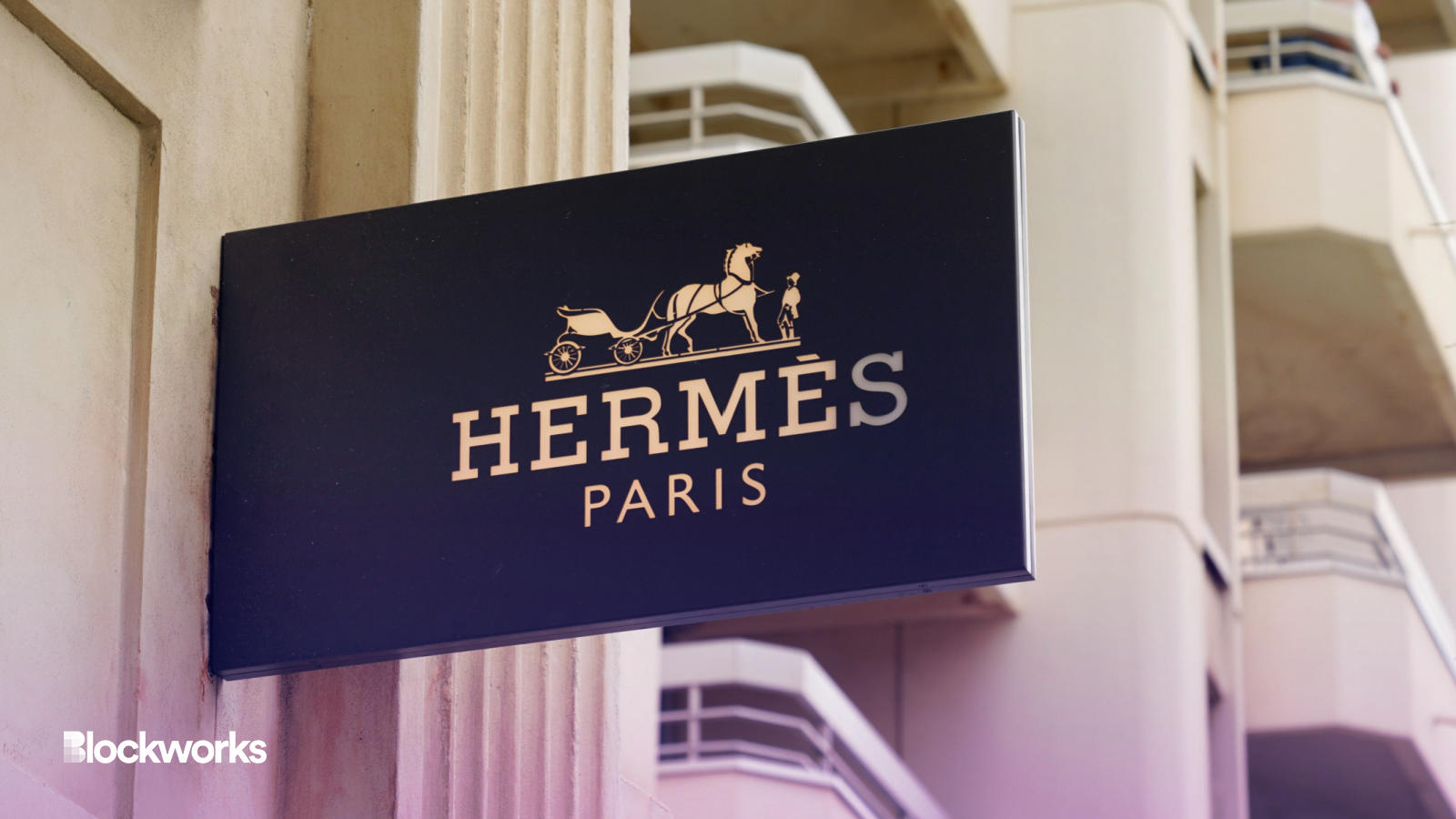 Hermes sues MetaBirkin for trademark infringement