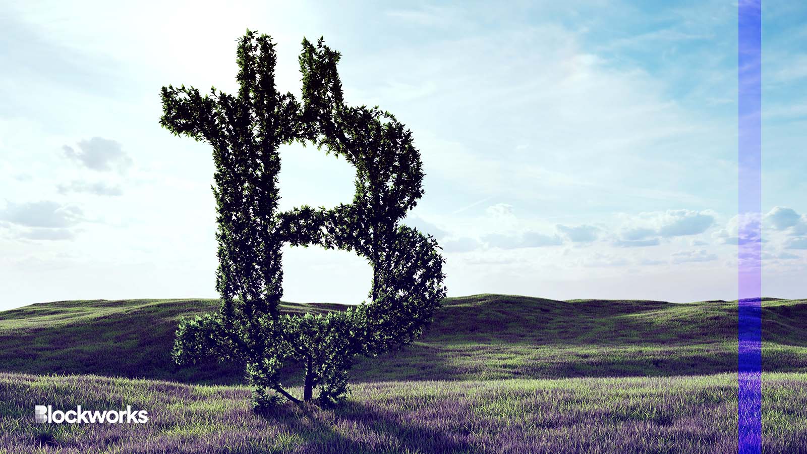 Crypto Carbon Credit Market Maker Eyeing Bahamas, Switzerland Outposts -  Blockworks