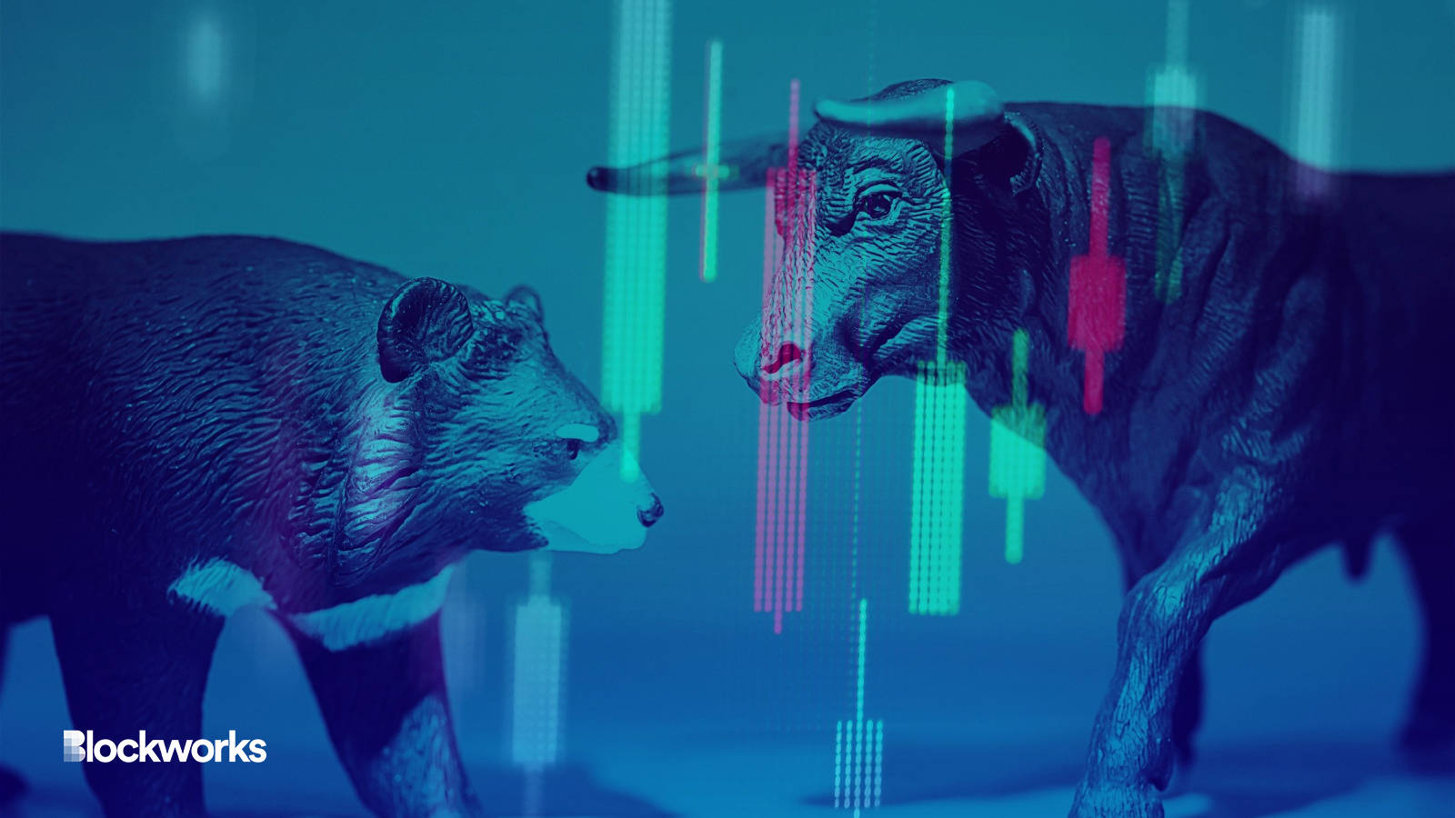 Crypto Bear Cases Every Bull Should Consider This Year - Blockworks
