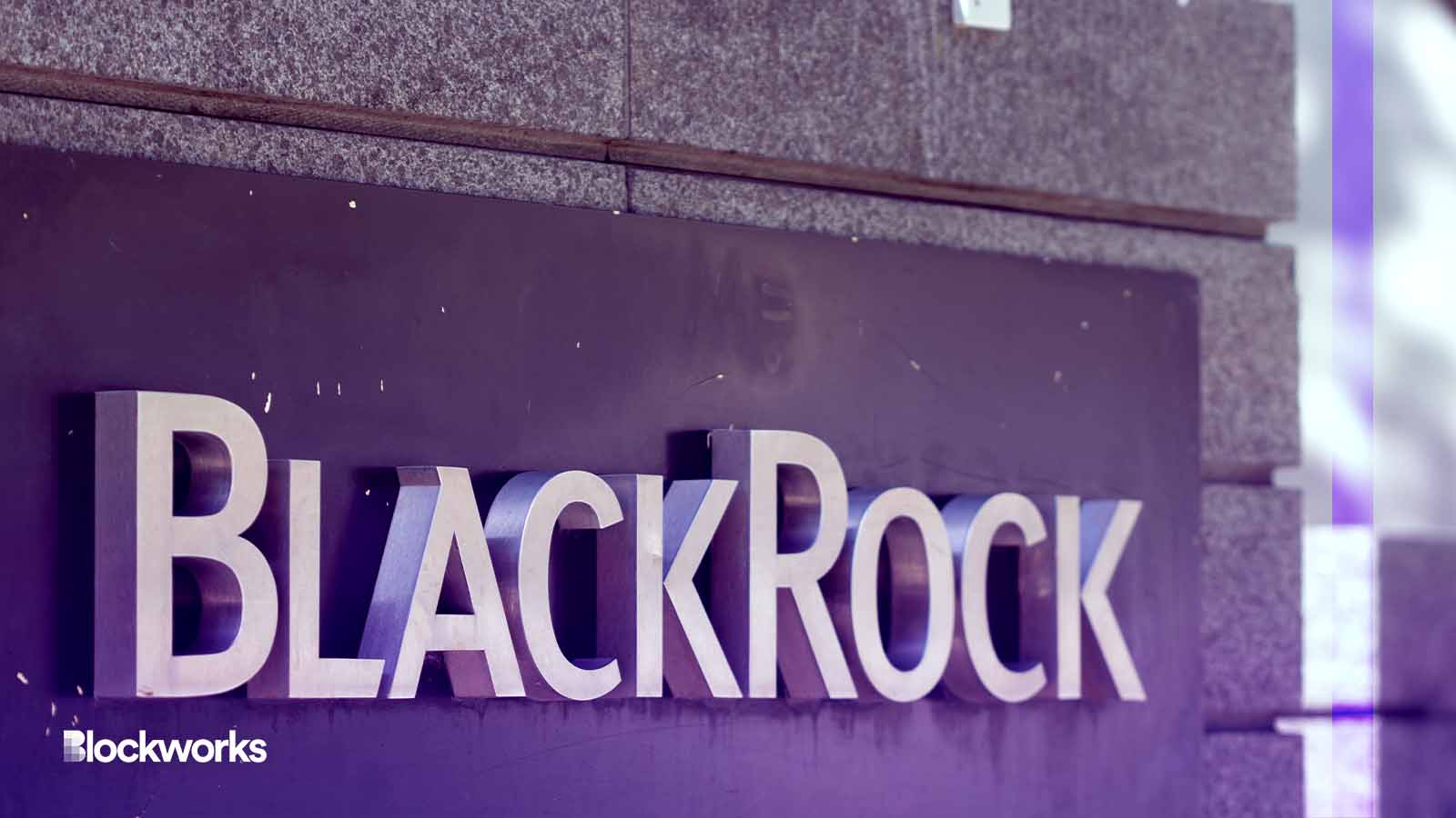 BlackRock, then Bitwise — How the spot bitcoin ETF filings differ -  Blockworks