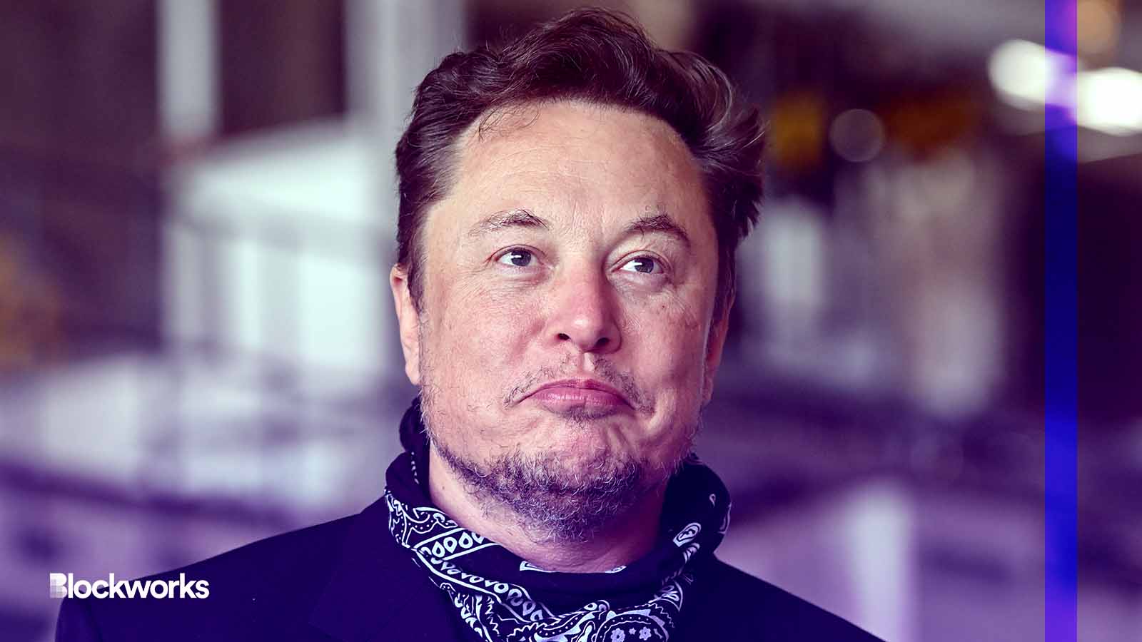 Plaintiffs in Dogecoin Lawsuit Against Musk Make Wild New Allegations -  Blockworks