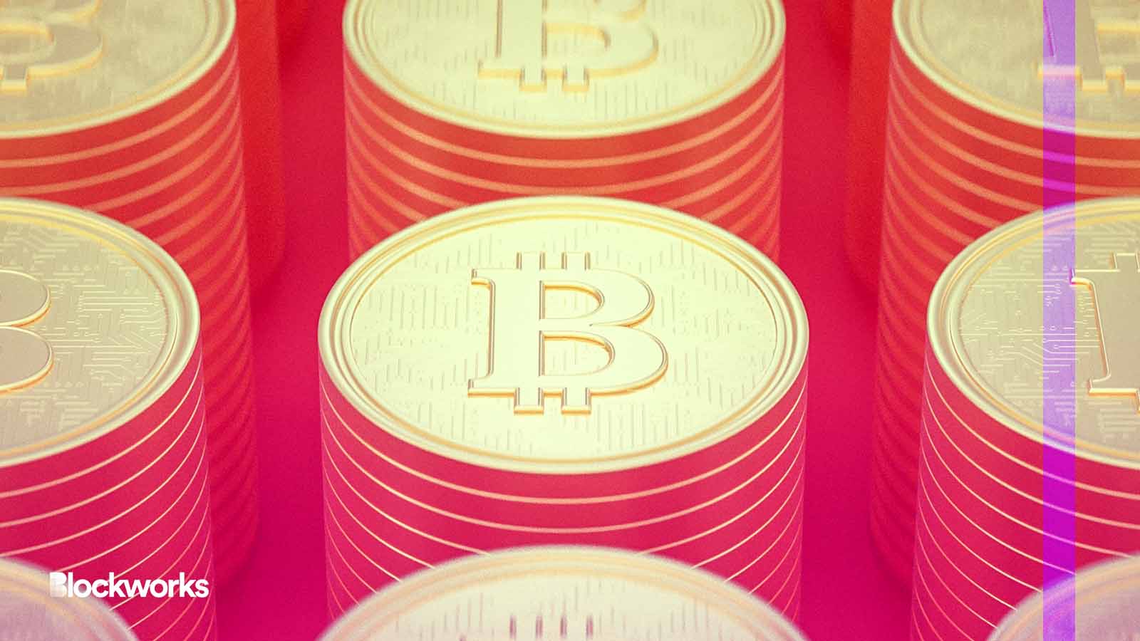 20 BTC bounty from Human Rights Foundation up for grabs to improve Bitcoin  network - Blockworks