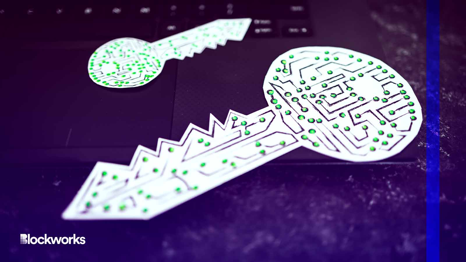 Elusiv debuts private token swap functionality for Solana - Blockworks