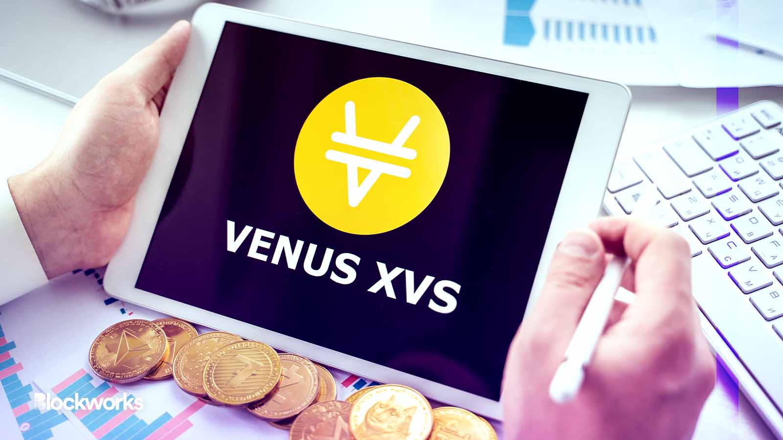 Venus liquidates additional $30M of notorious lending position - Blockworks
