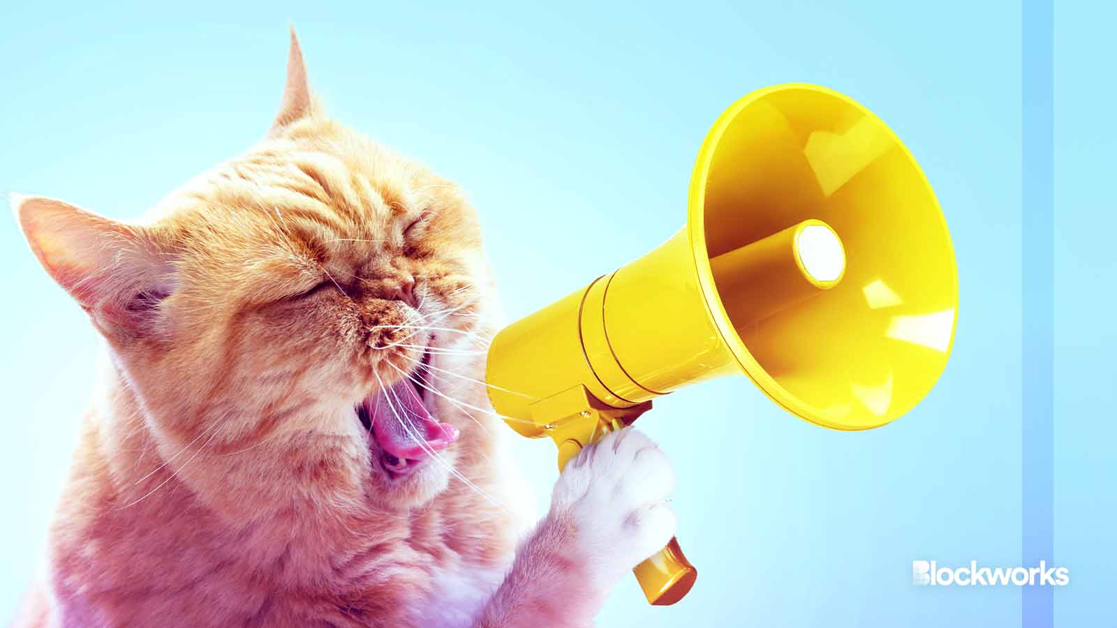 Forget cat memes. The next crypto bull market will be driven by TradFi. -  Blockworks