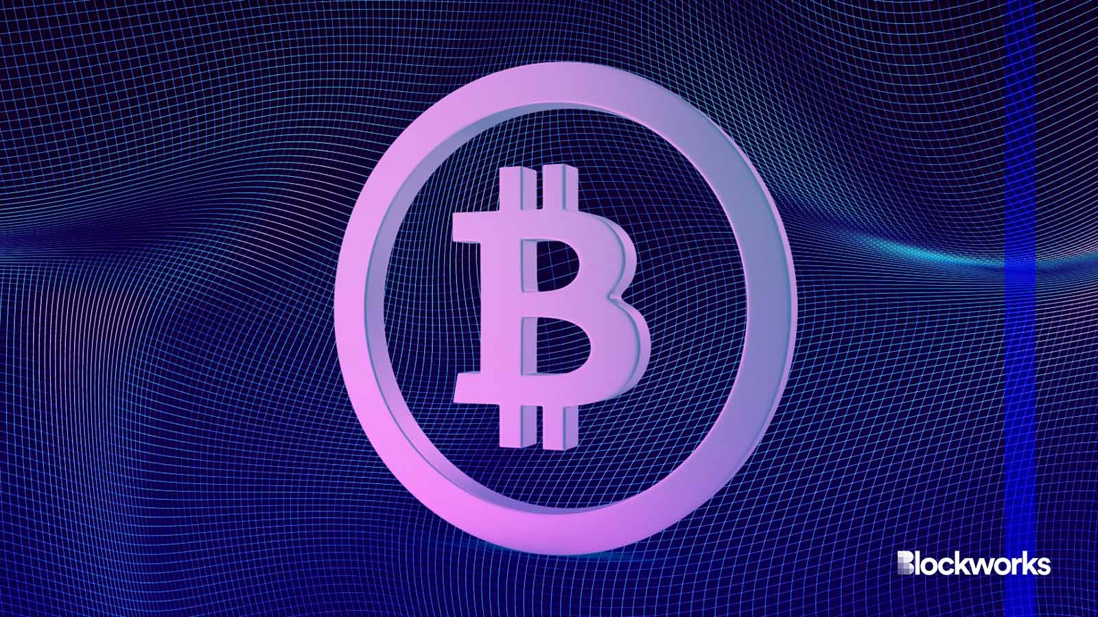 Silk road bitcoin forfeiture sale (83) 사진