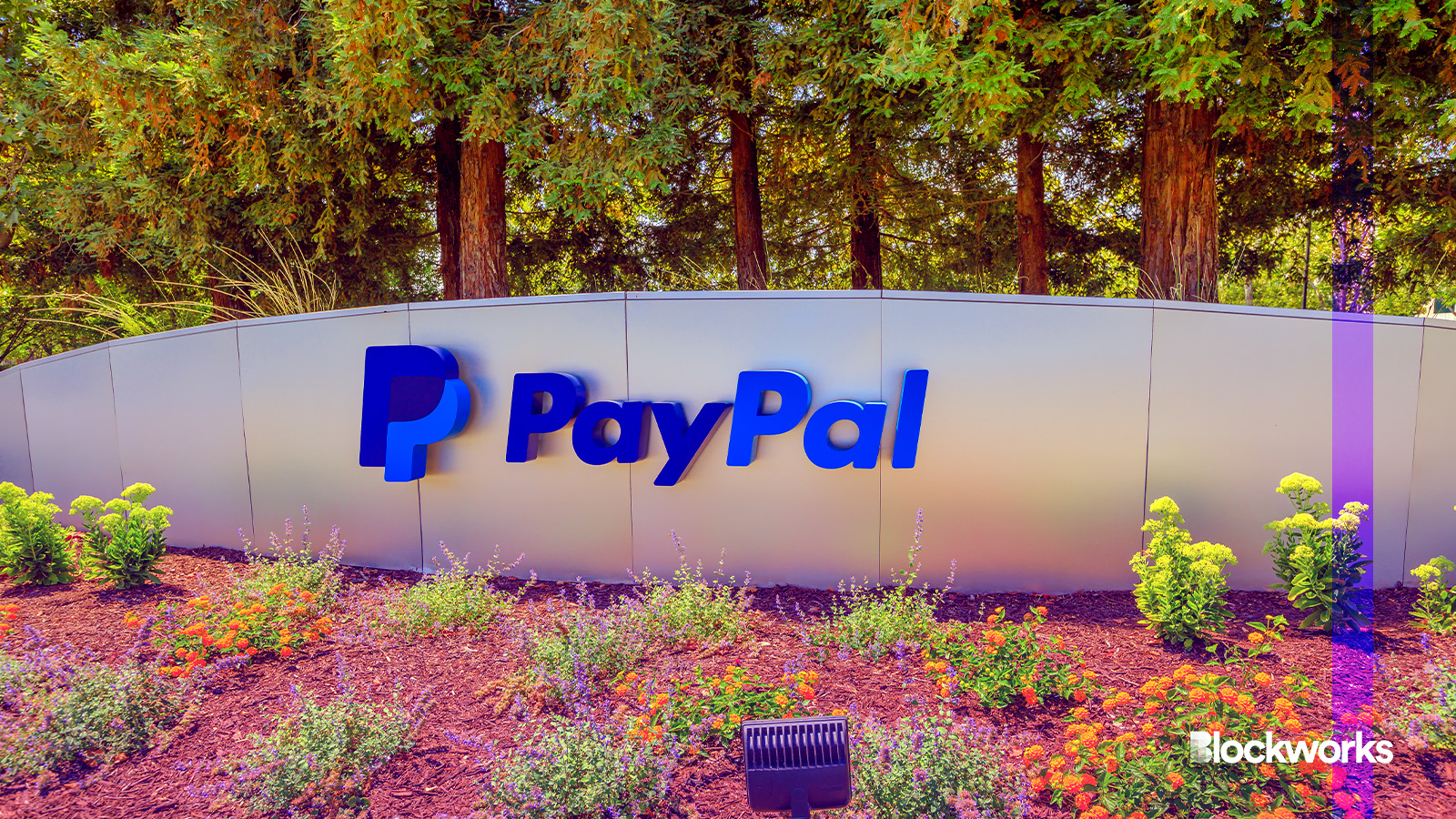 PayPal Ventures uses its stablecoin for investment in crypto transfer  platform Mesh - Blockworks