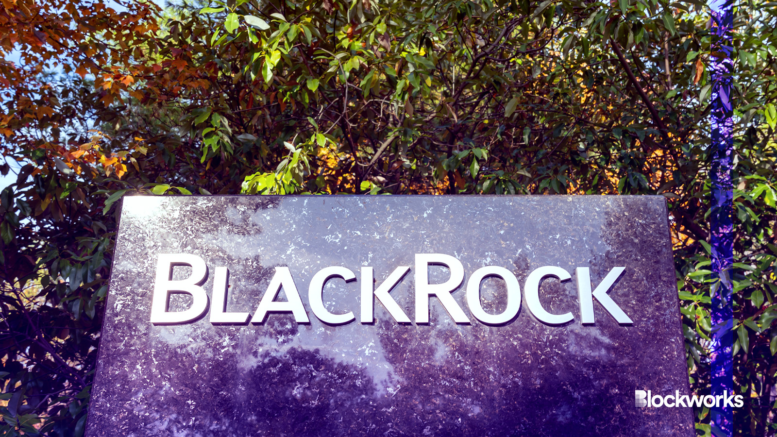 Goldman Sachs named as authorized participant on BlackRock bitcoin ETF -  Blockworks