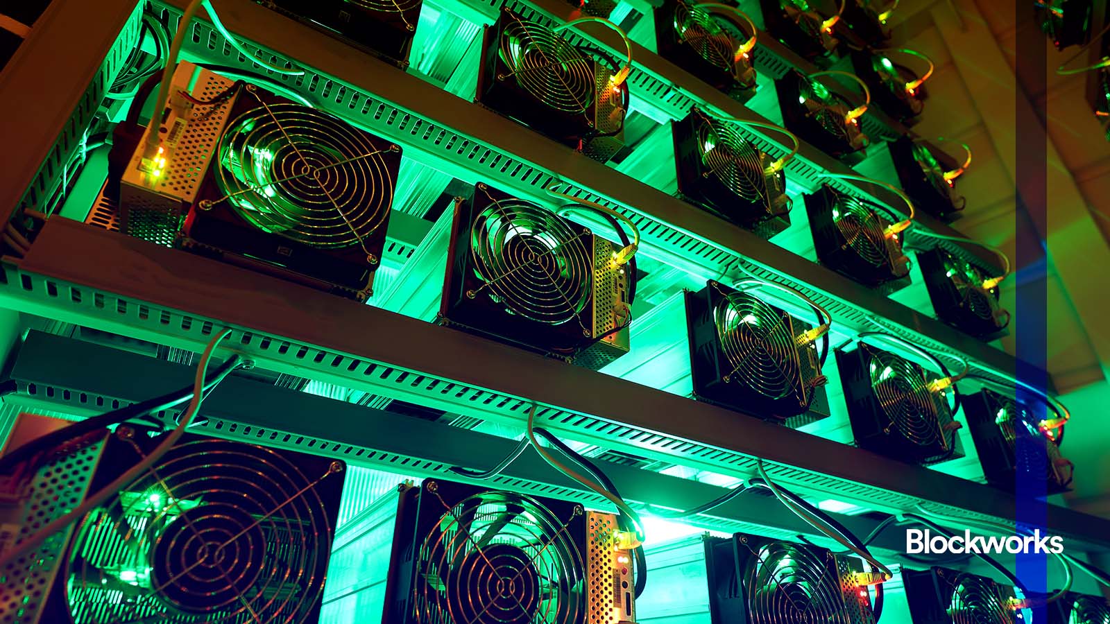 กลยุทธ์การลงทุนที่แตกต่างของ BTC Miners ในการใช้เงินทุน post image