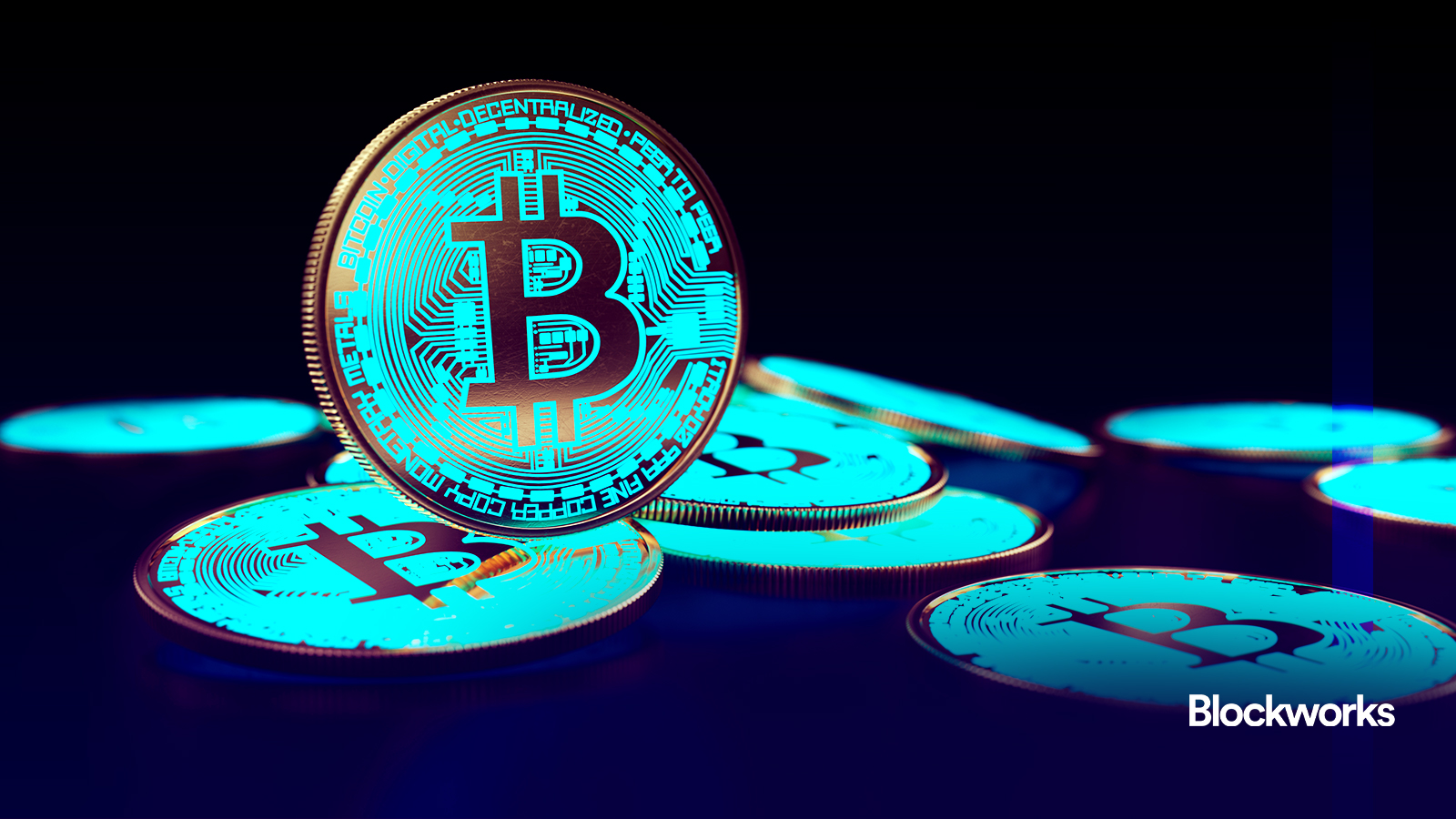 Bitcoin investor who bought at $0.25 says US will never buy 5 million BTC -  Blockworks