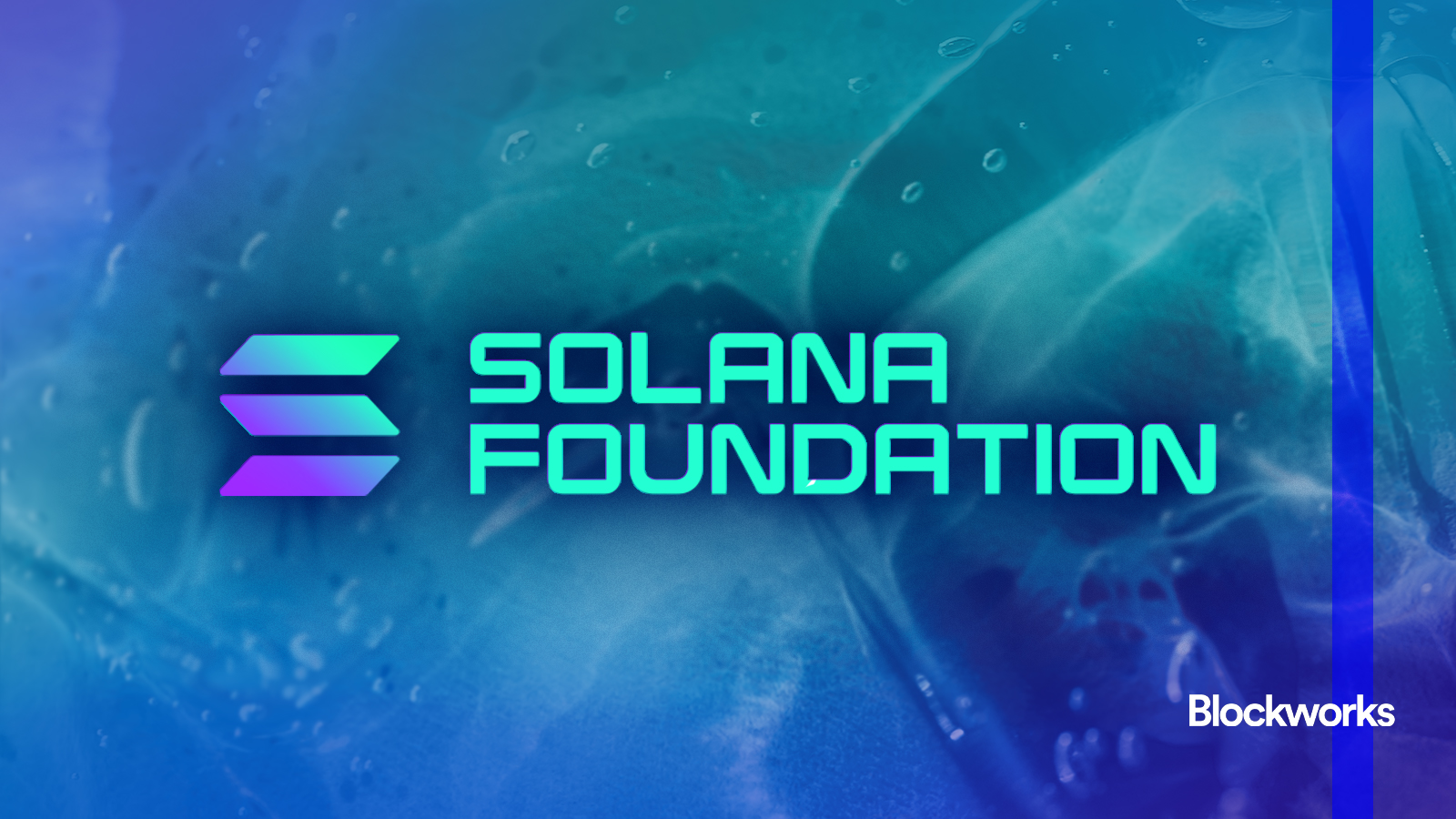 Solana Foundation begins pruning validators from delegation program -  Blockworks