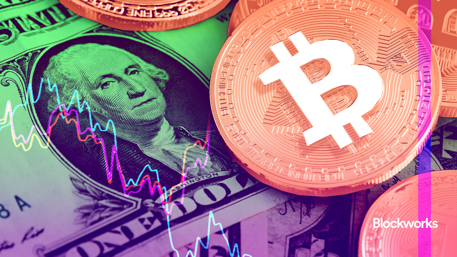 Bitcoin already sets all-time high against the US dollar index - Blockworks
