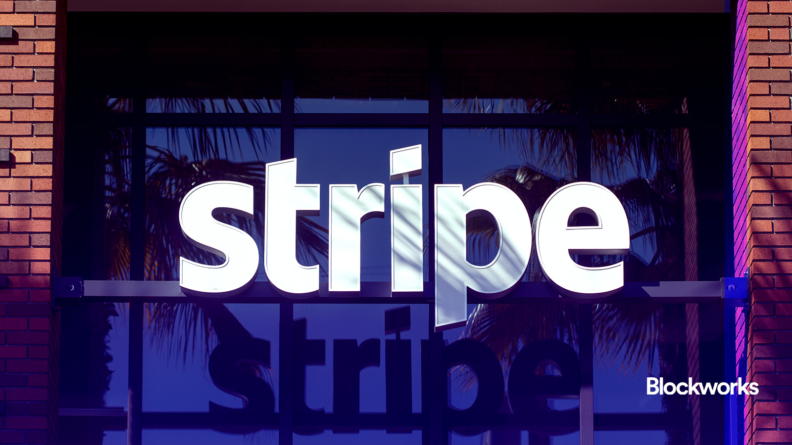 Stripe and Paradigm incubate Tempo blockchain for stablecoin payments -  Blockworks