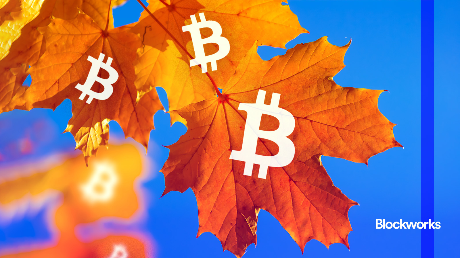 Where crypto markets stand heading into historically-notorious September -  Blockworks