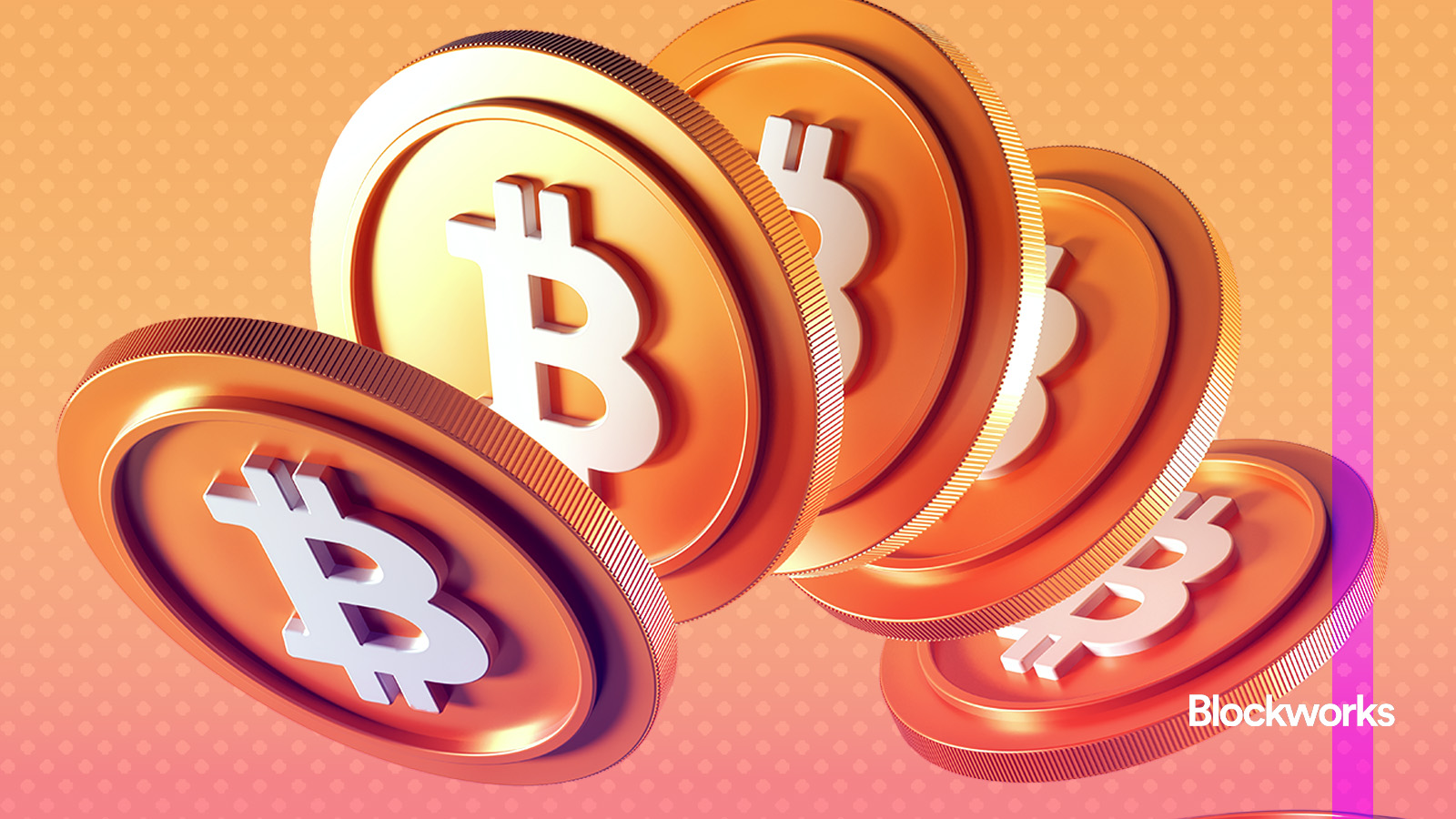 Winklevoss Capital and Nakamoto Holdings back $147M bitcoin treasury -  Blockworks